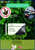 Nusantara Bersinar Jika Tanpa Narkoba
