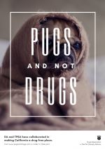 PUGS AND NOT DRUGS